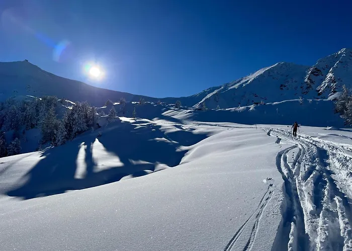 Apartmentz - Zimmervermietung